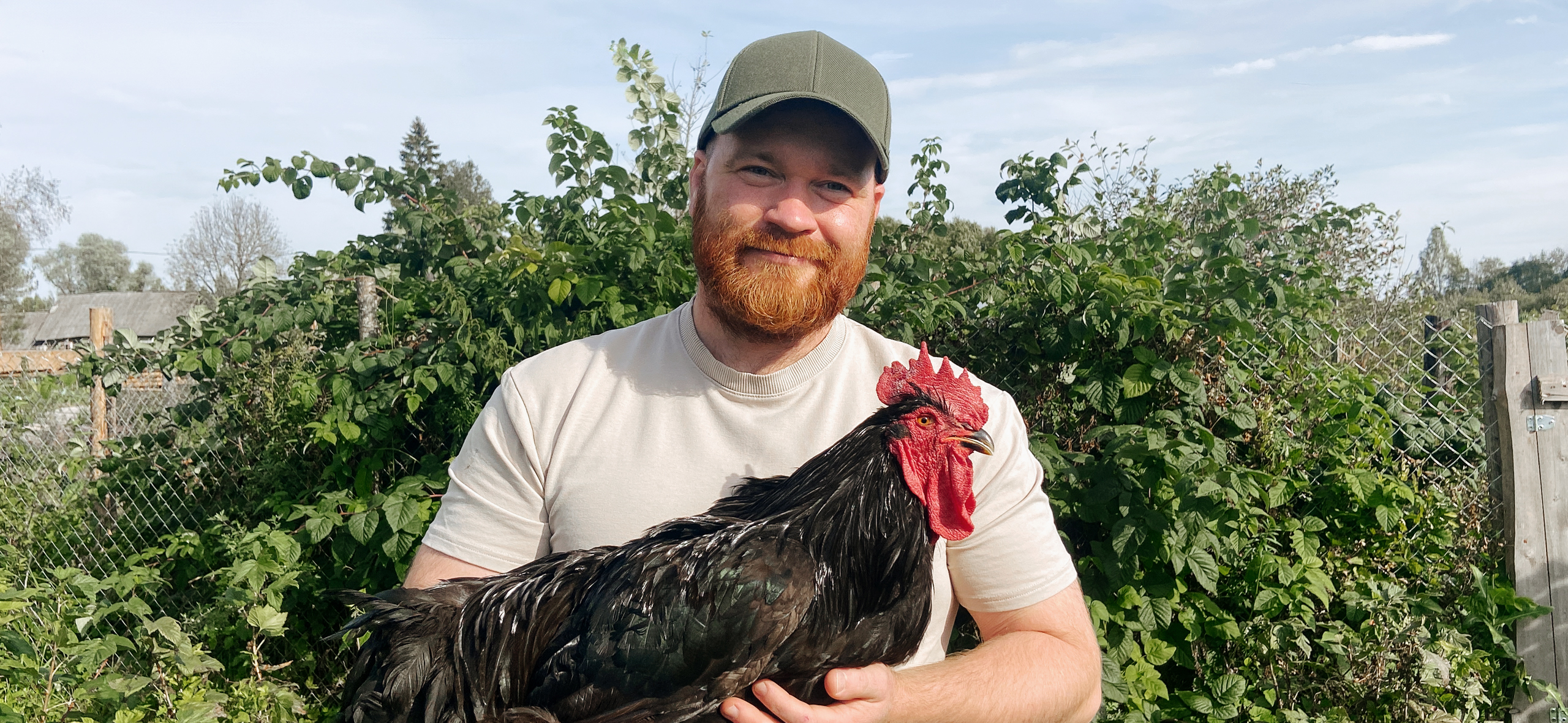 «Курам важно вести насыщенную жизнь: гулять, искать корм, общаться»: 6 вопро­сов птицеводу