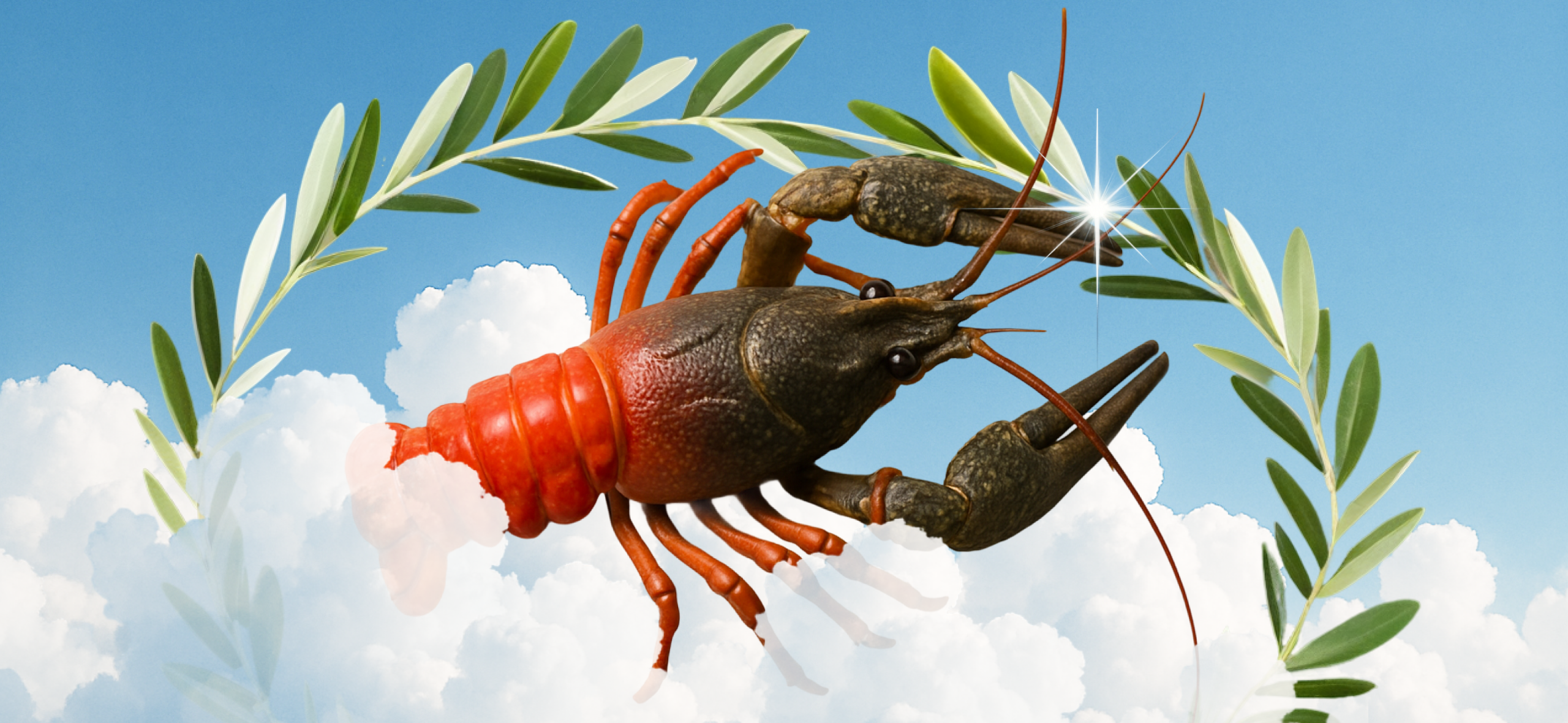 Правда ли, что ракам больно, когда их варят?