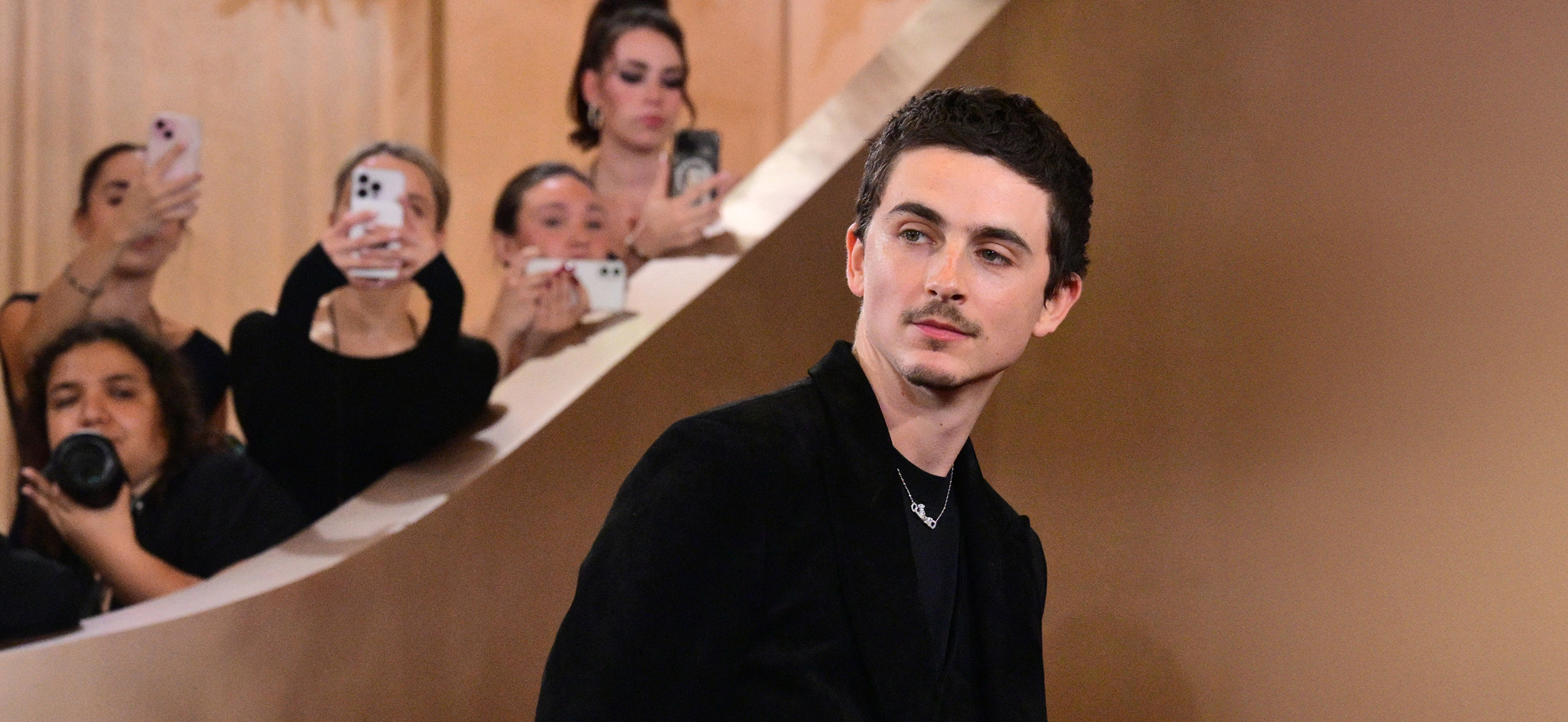 Как Тимоти Шаламе стал одной из главных голливудских звезд нашего времени