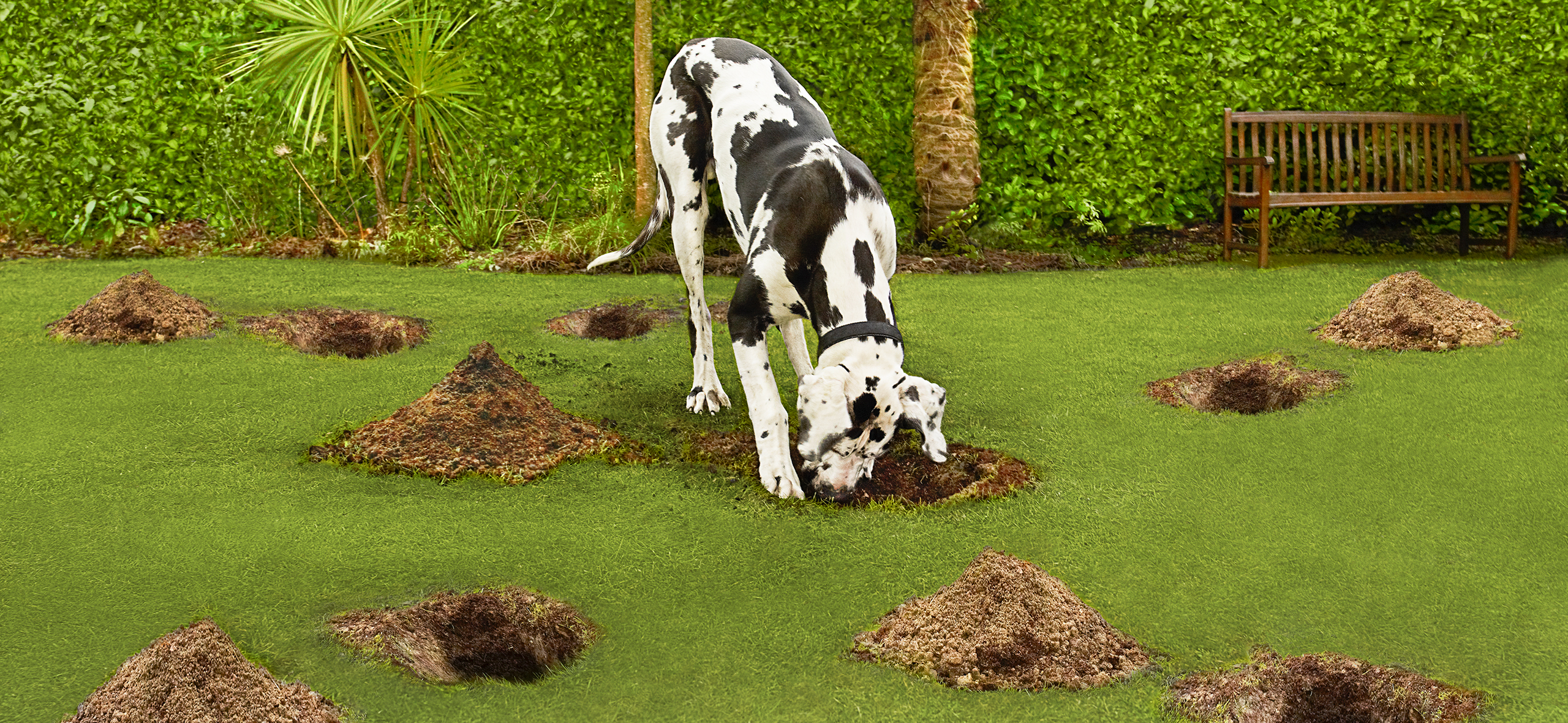 Почему за кредитом нельзя обращаться в несколько банков сразу