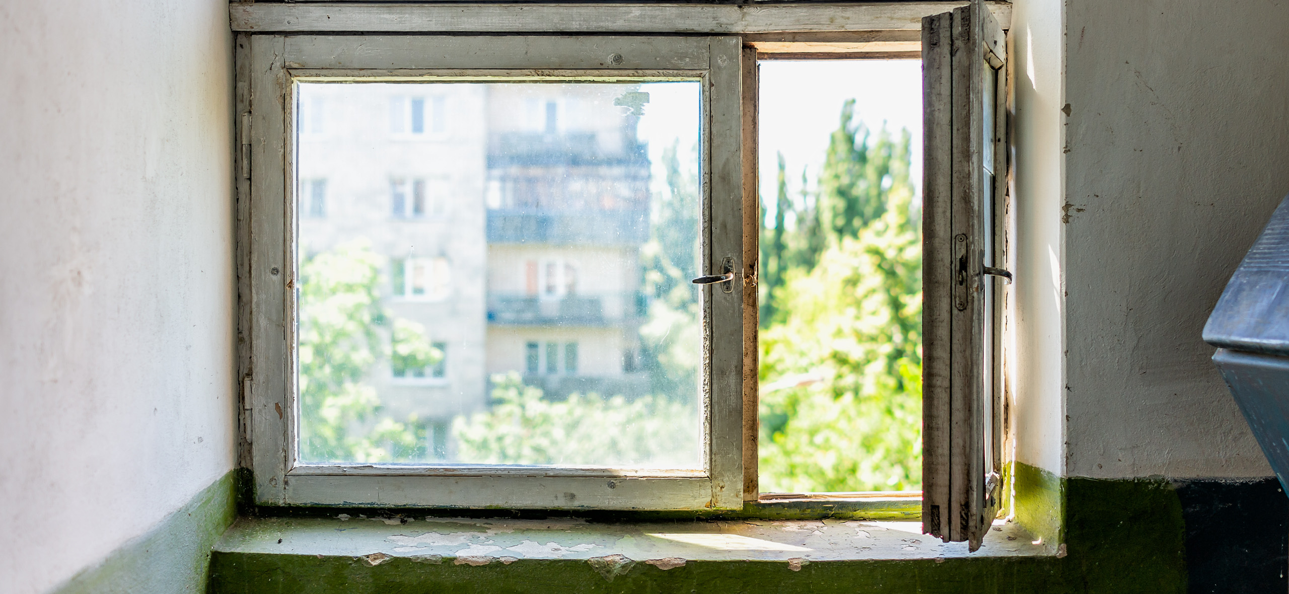 Нет дворников, хулиганы мусорят: главные отговорки, которыми УК​ оправдывают бардак в подъезде