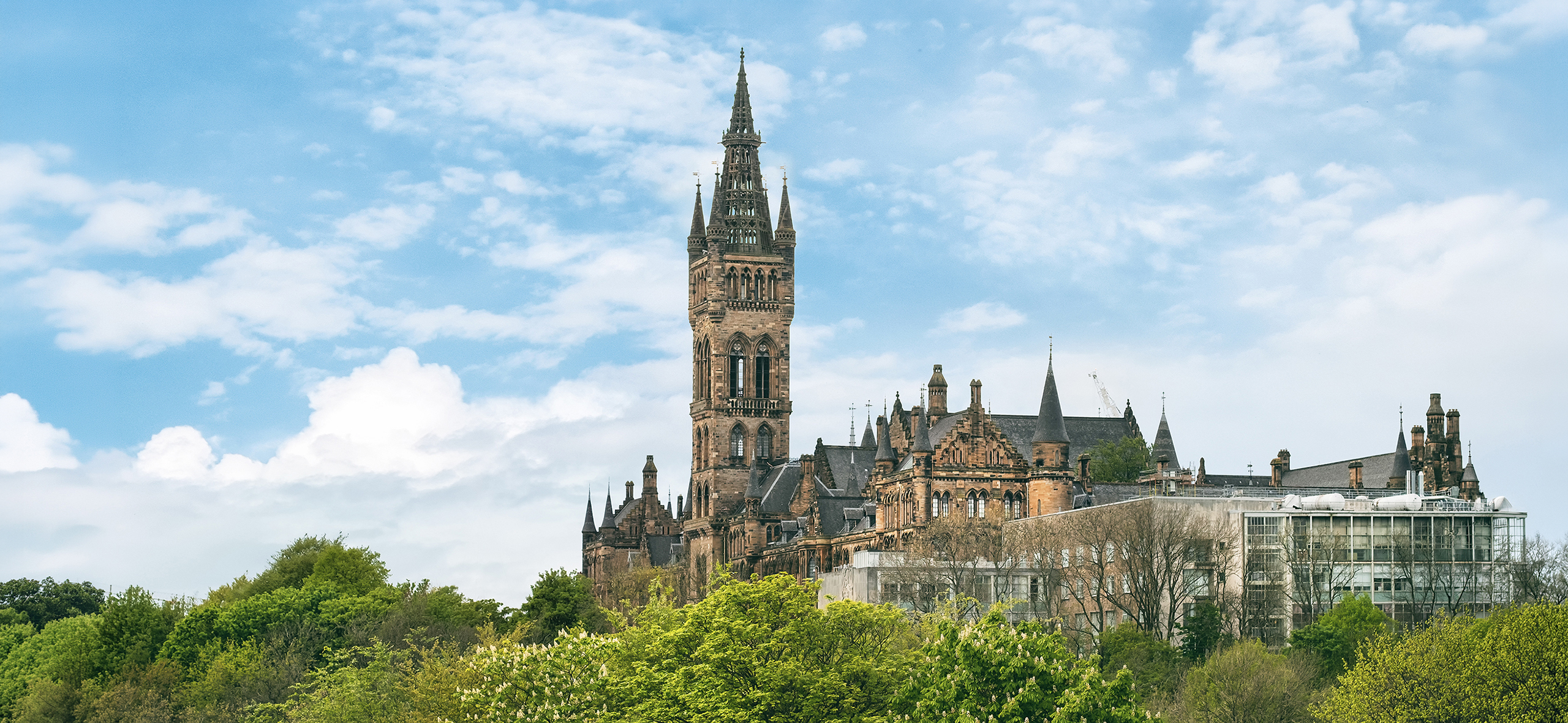 Я отказалась от скидки в уни­вер­ситет Глазго — и получила полную стипендию