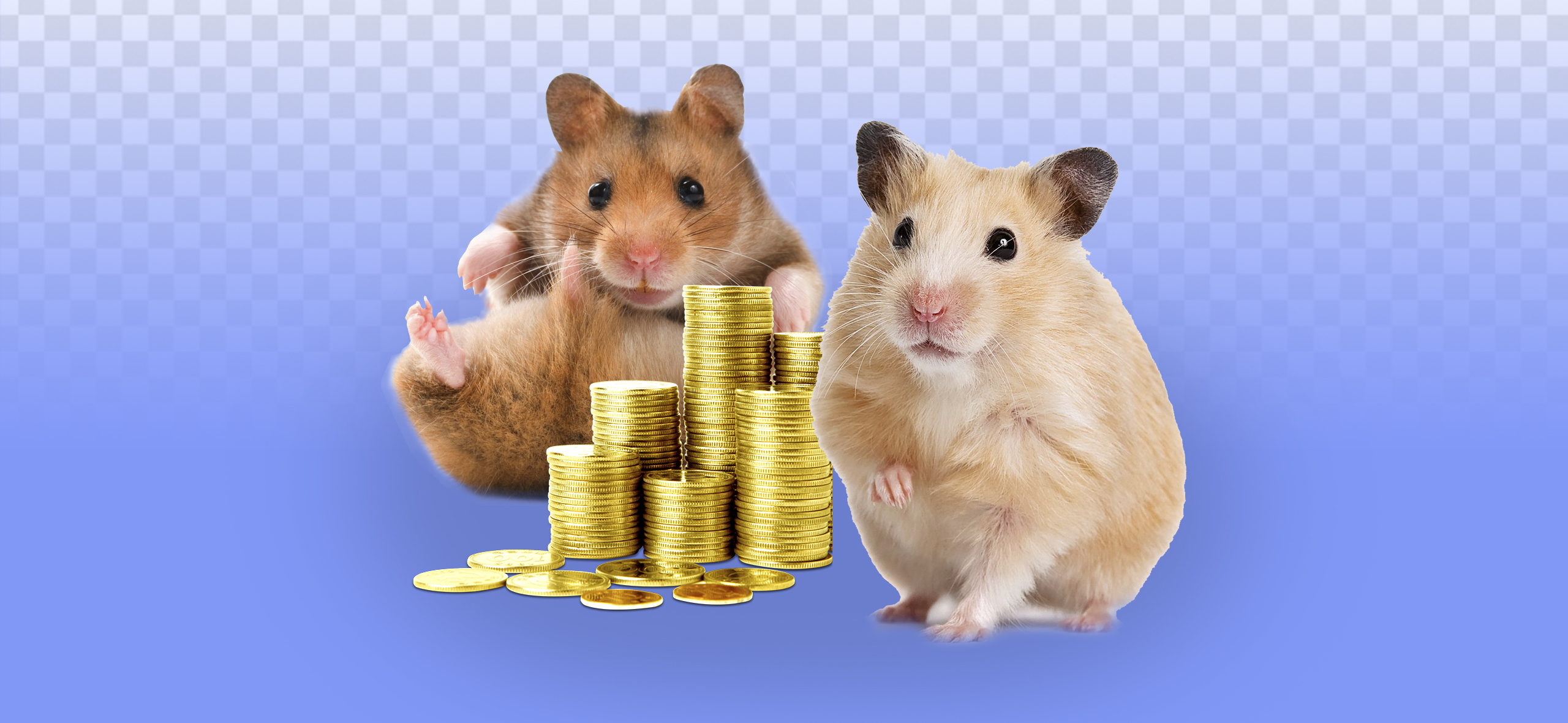 Hamster Kombat: популярная игра в «Телеграме» обещает быстрый заработок — верить этому или нет