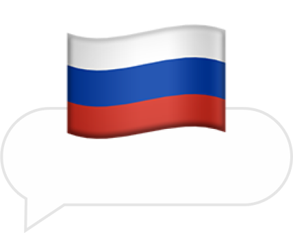 Можно ли​ въехать в Россию по загран­паспорту страны второго граждан­ства?