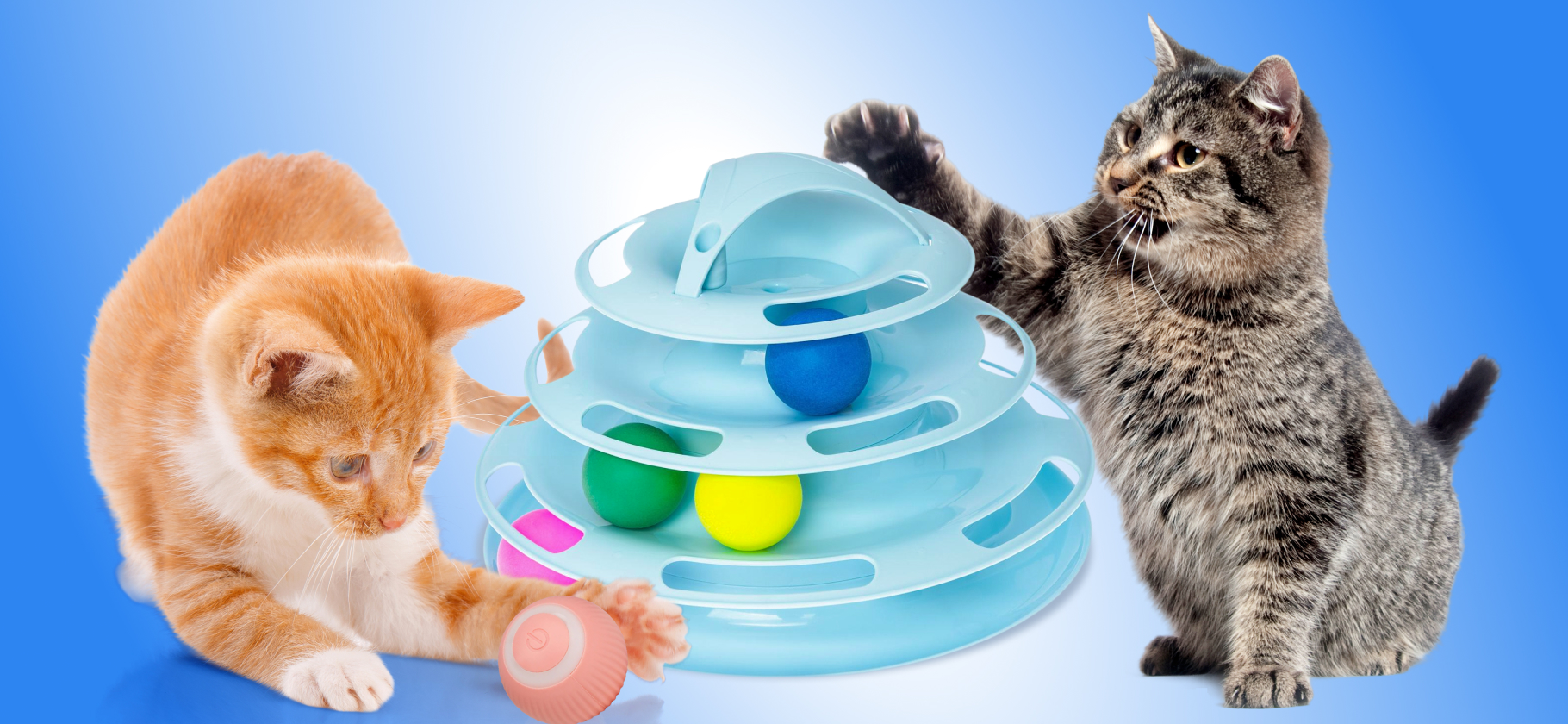 Эти интерактивные игрушки надолго займут вашу кошку. Одобрено зоопси­хологом