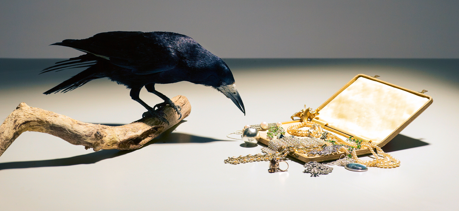 «Альтернатива накопительным счетам»: 5 идей, во что инвести­ровать в 2026 году