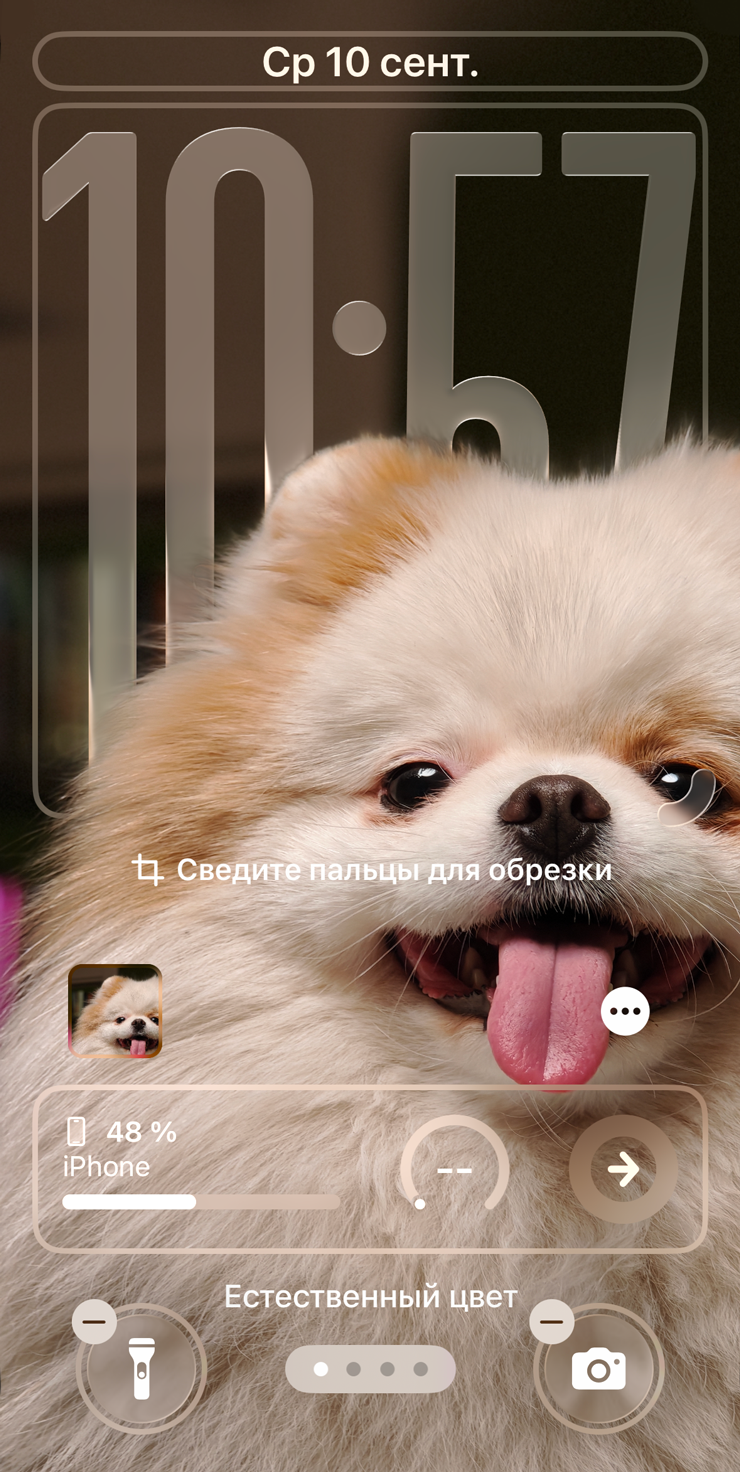 Тут видно, что циферблат подстроился под изображение питомца