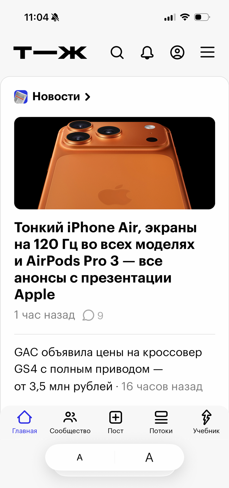 Страница в Safari на весь экран