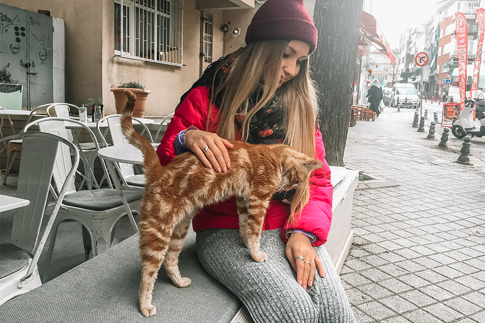 В Стамбуле настоящий культ кошек, и это заразно — я тоже не могла пройти мимо котика, не погладив его