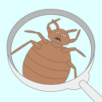 Обложка статьи