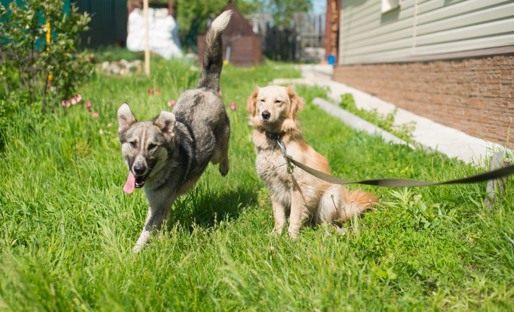 Бриджит и Камаз