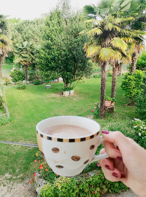 Вид на сад в Сузегане. По утрам мы пили кофе на балконе и слушали пение птиц, а вечерами любовались светлячками в виноградниках вокруг дома