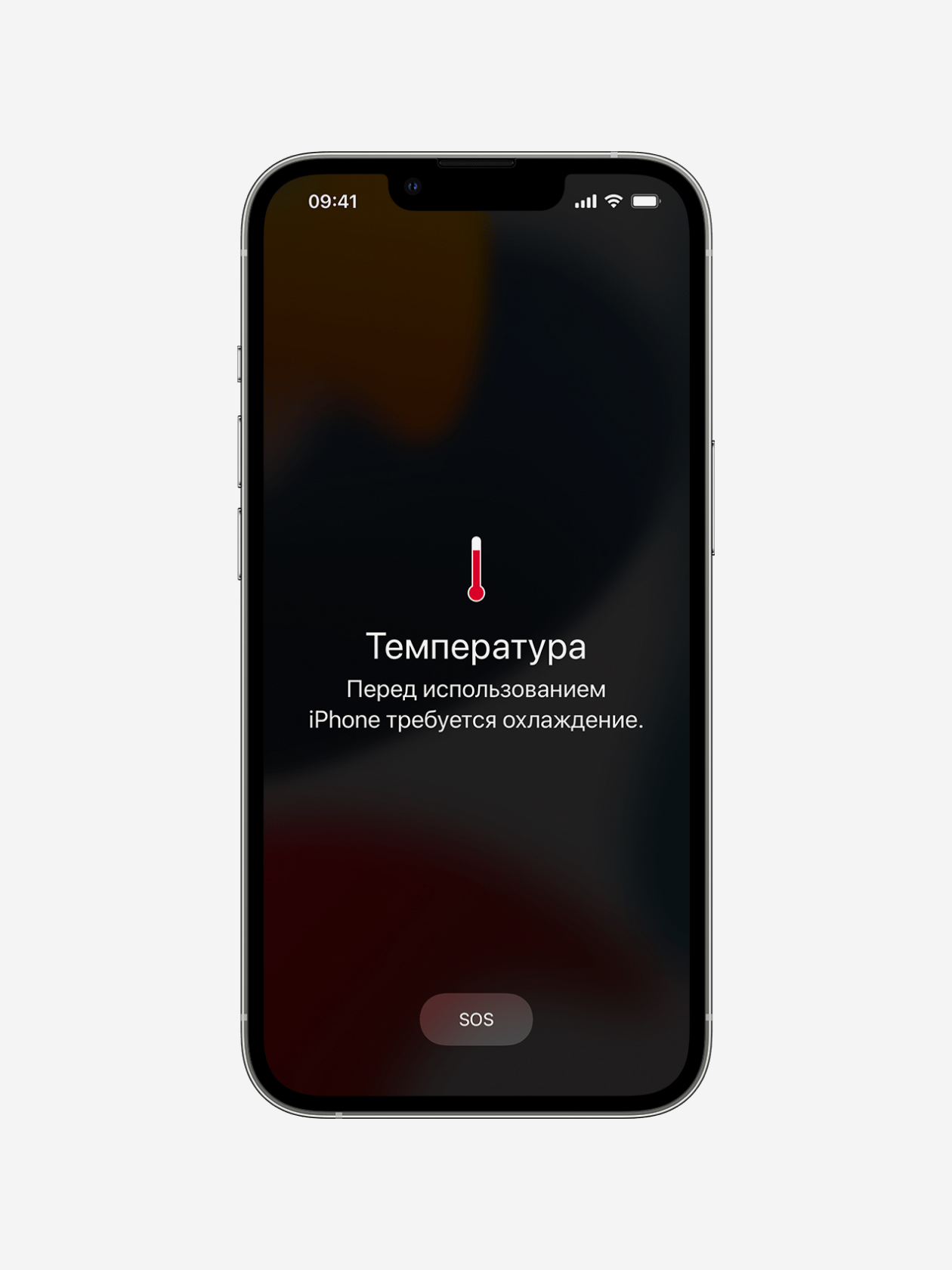 При такой ошибке телефон можно использовать только для звонка в экстренные службы. © Apple