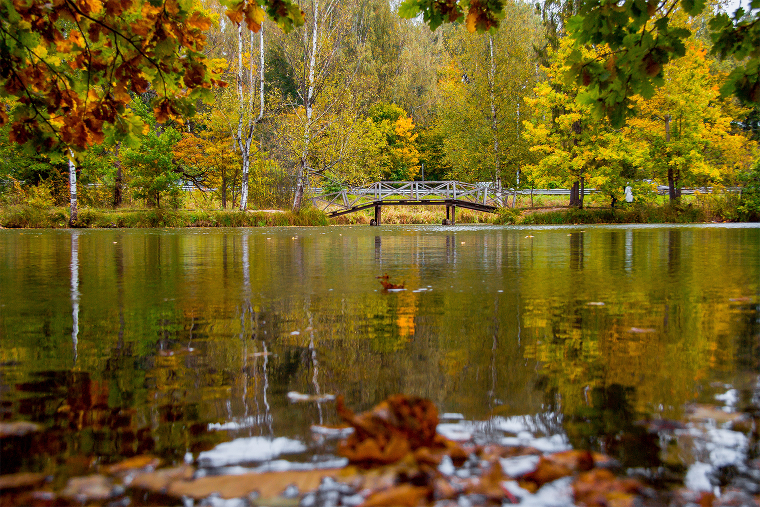 © Oleh Oleinik / Shutterstock / FOTODOM