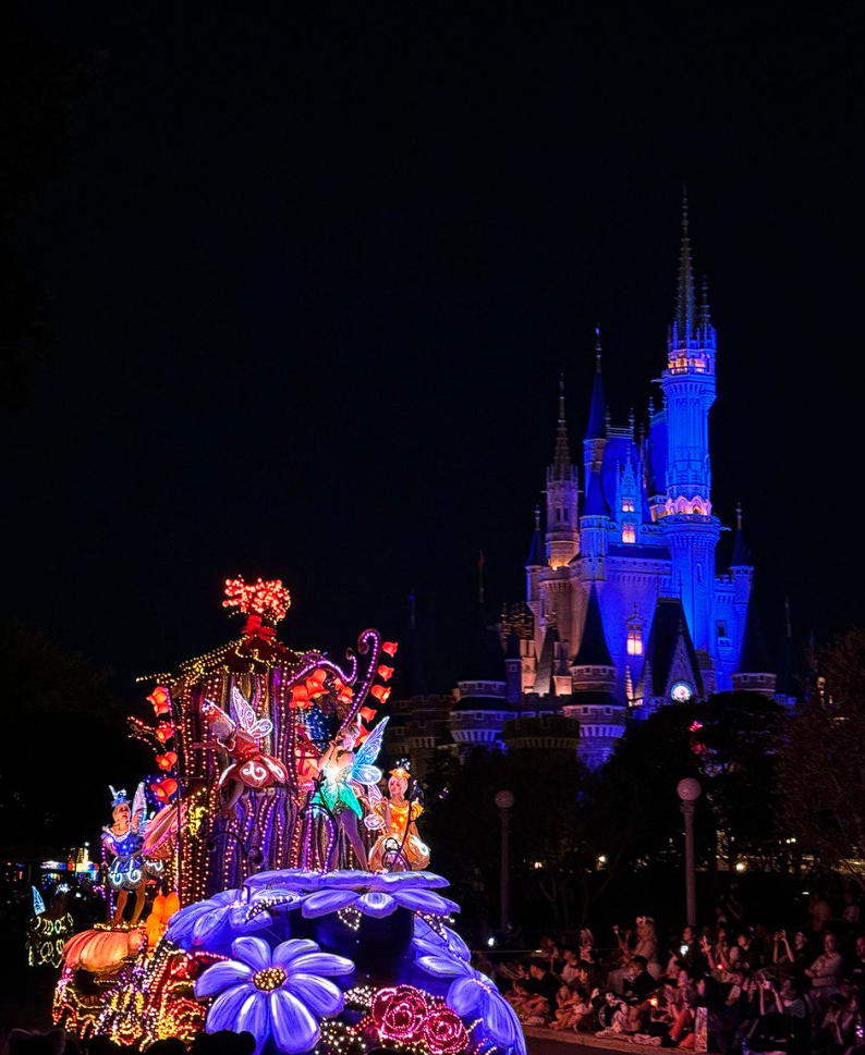 Disneyland Electrical Parade Dreamlights