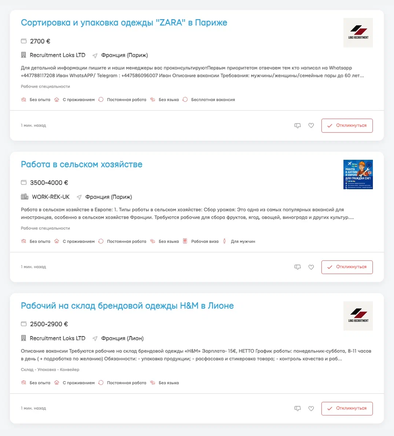 Работа без знания языка во Франции — это сбор урожая, упаковка и склады. В объявлениях иногда мелькают «серые» предложения — от сомнительных финансовых схем до вакансий «моделей» и «VIP-хостес» без подробностей. Источник: layboard.com