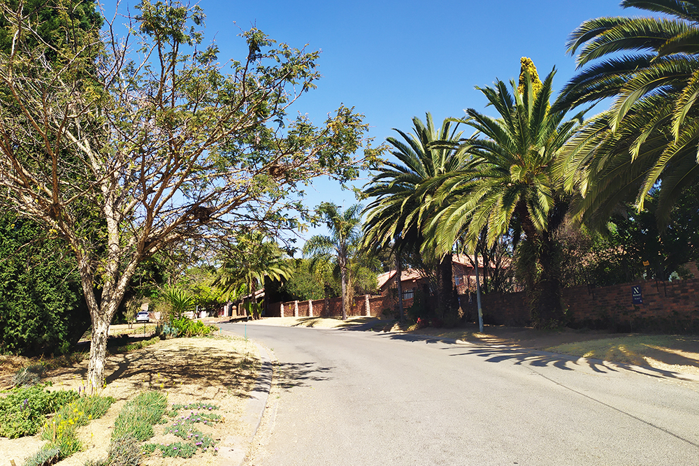 Северный пригород Йоханнесбурга утопает в зелени