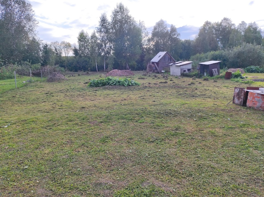 Кусты лопуха по центру участка