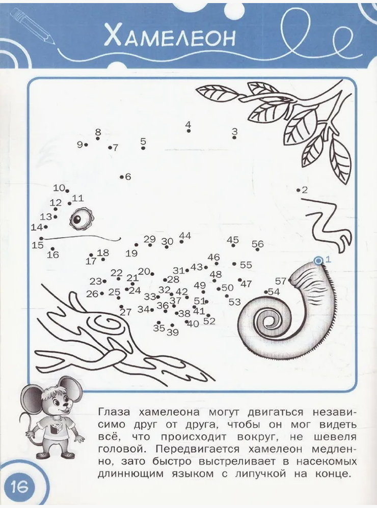 Рисование по номерам не только интересно, но и полезно для улучшения почерка. Источник: ozon.ru