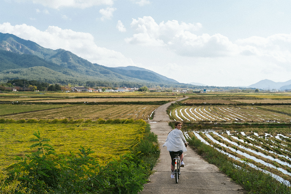 В Кенджу мы катались на велосипедах по рисовым полям и гуляли по холмам