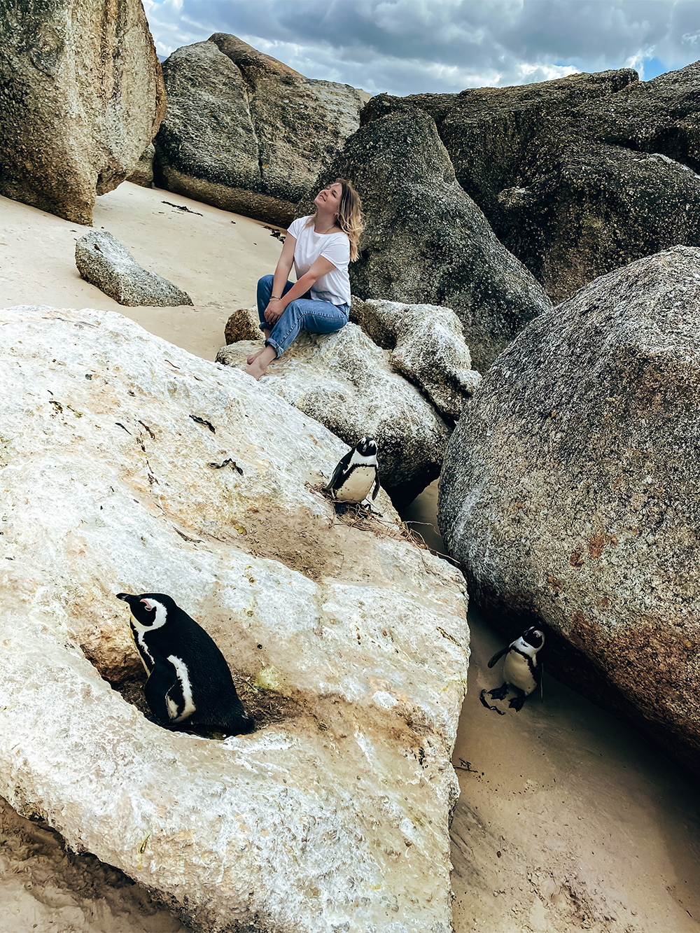 Пингвины очень забавные