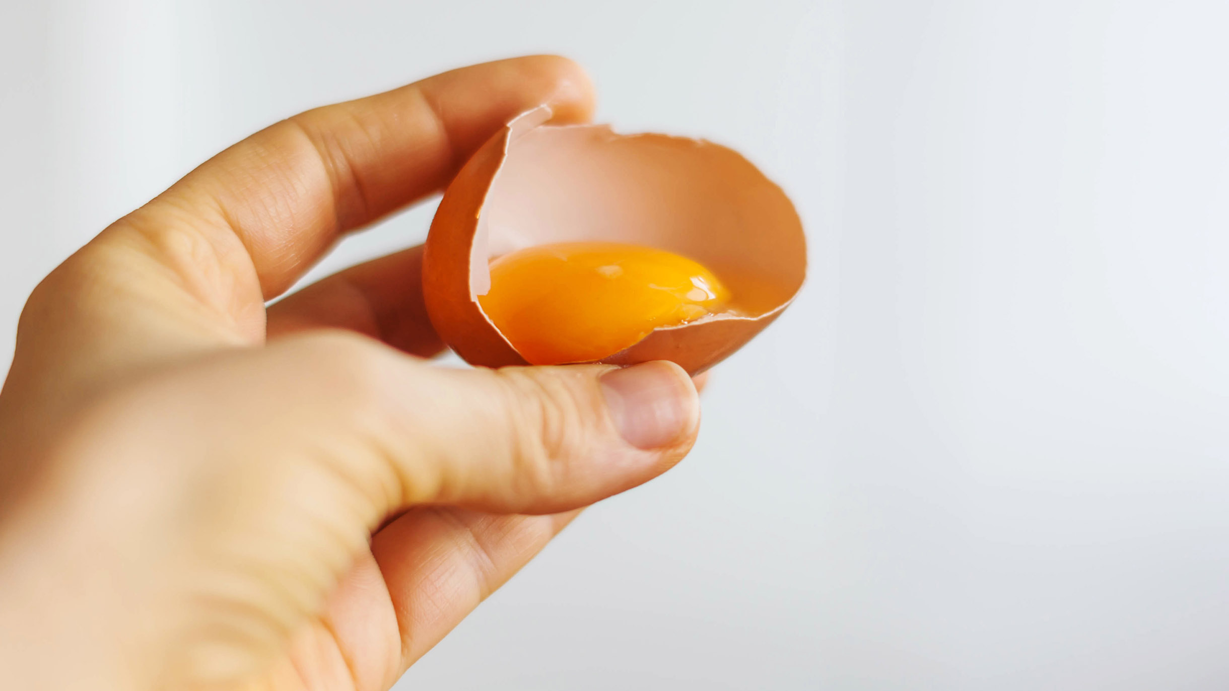 Кровь в курином яйце: причины, лечение, можно ли употреблять в пищу?