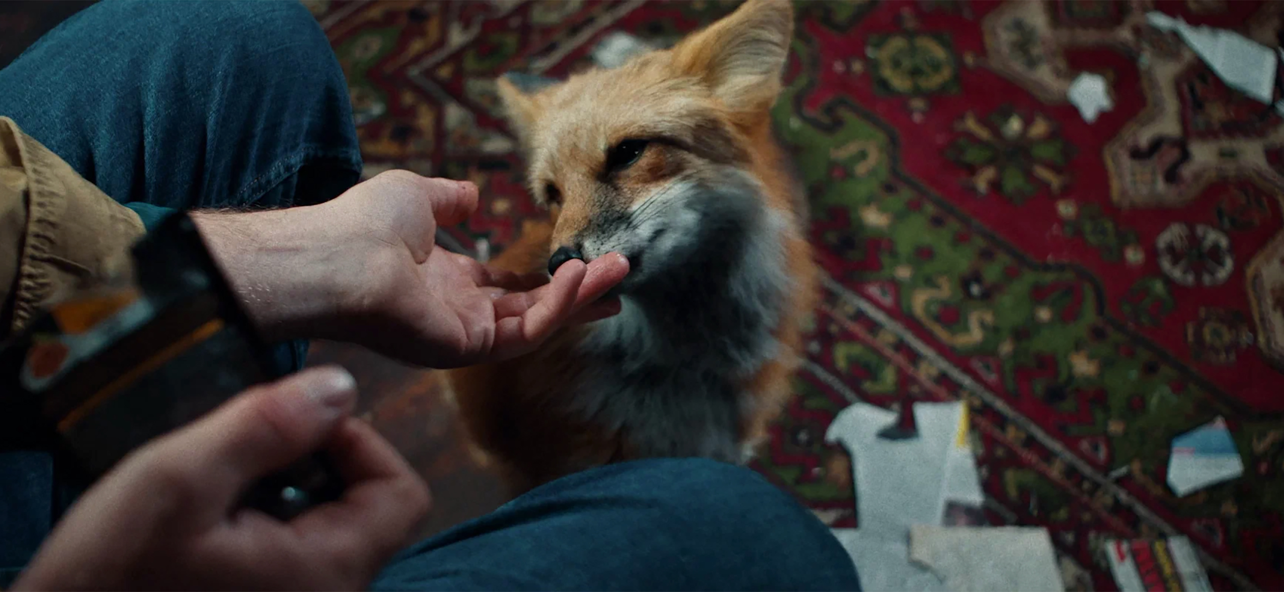 «Как приручить лису»: стоит ли​ смотреть мрачный триллер про дочку серийного убийцы