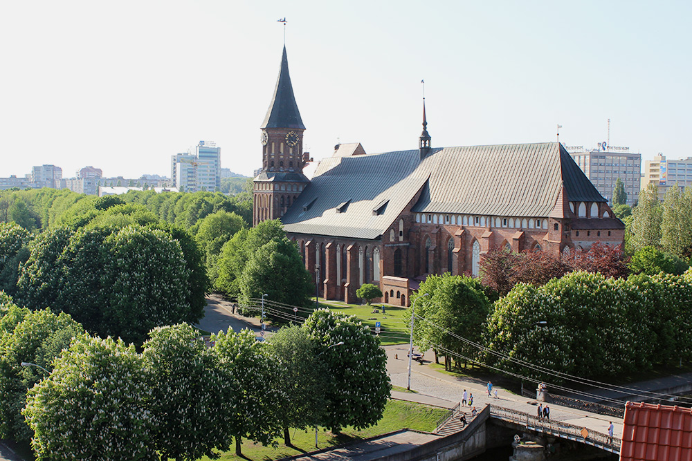 Вид со смотровой башни «Маяк» на кафедральный собор