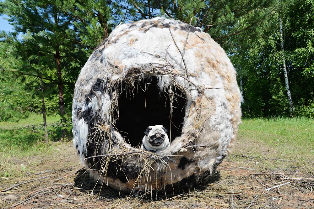 Такой арт-объект был на «Архстоянии-2016». Это гнездо из веток и собачьей шерсти. Внутри было очень тепло, но после фестиваля его разобрали
