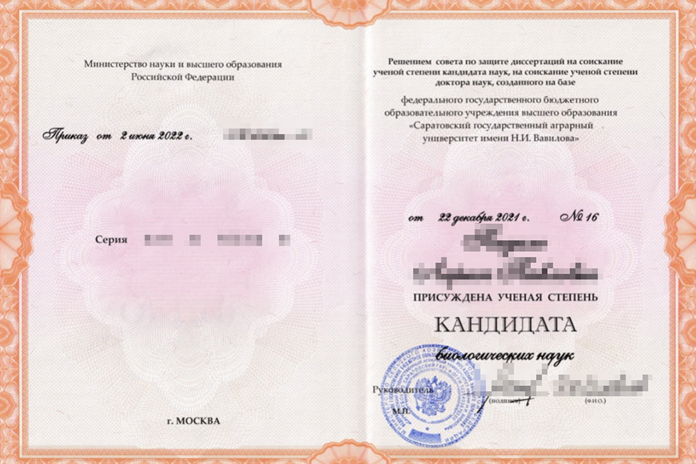 Так выглядит диплом кандидата наук. Источник: vavilovsar.ru