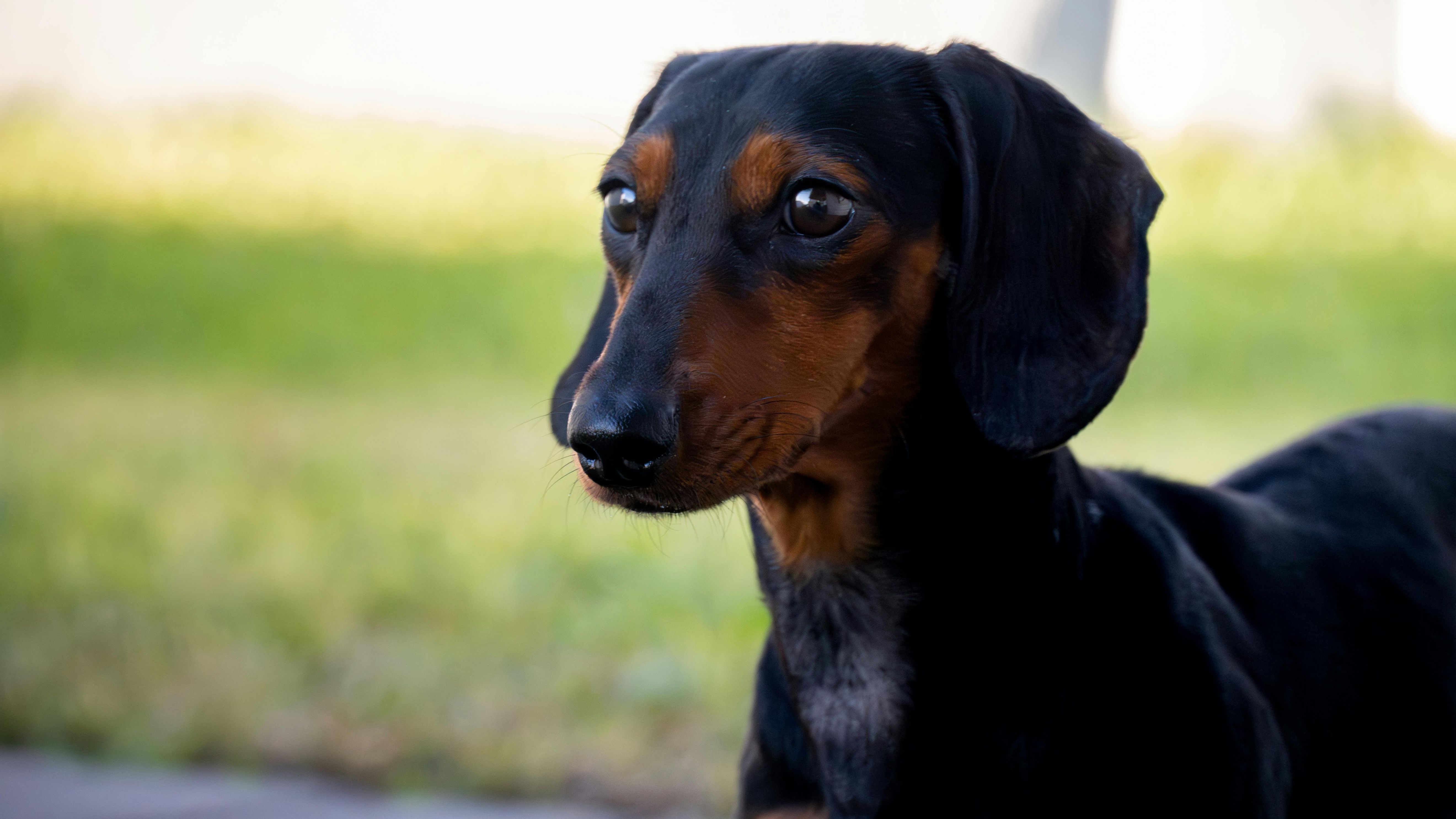 Исследуем узкие ниши!