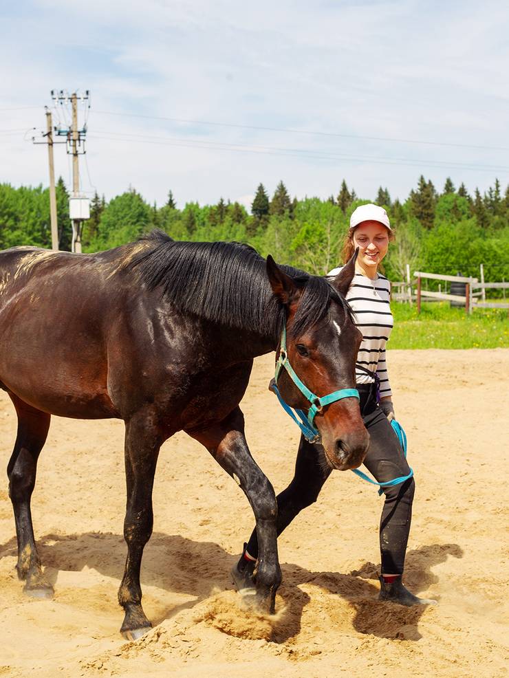 keeping-horse-photo-02.ku4jou.jpg?preset