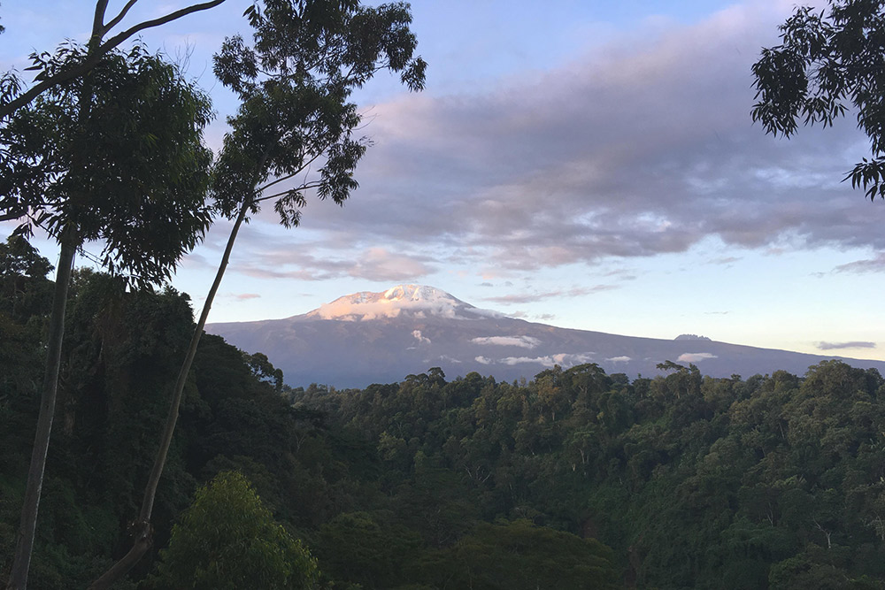 Снега Килиманджаро после сезона дождей