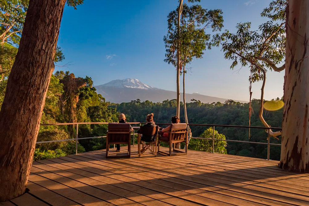 А еще там есть бассейн и красивые виды на Килиманджаро. Источник: kaliwalodge.com