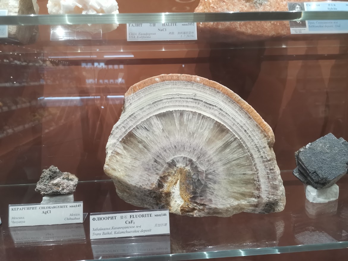 В музейно-выставочном центре в Кировске можно увидеть чудеса природы: например, камень флюорит, который принял форму спила дерева