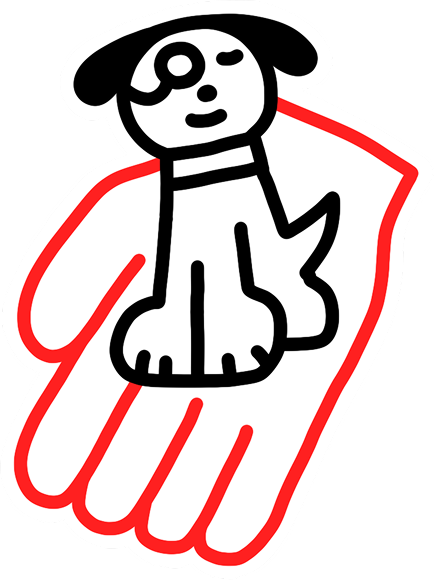 Бесит, когда упре­кают за покупку породистых питом­цев