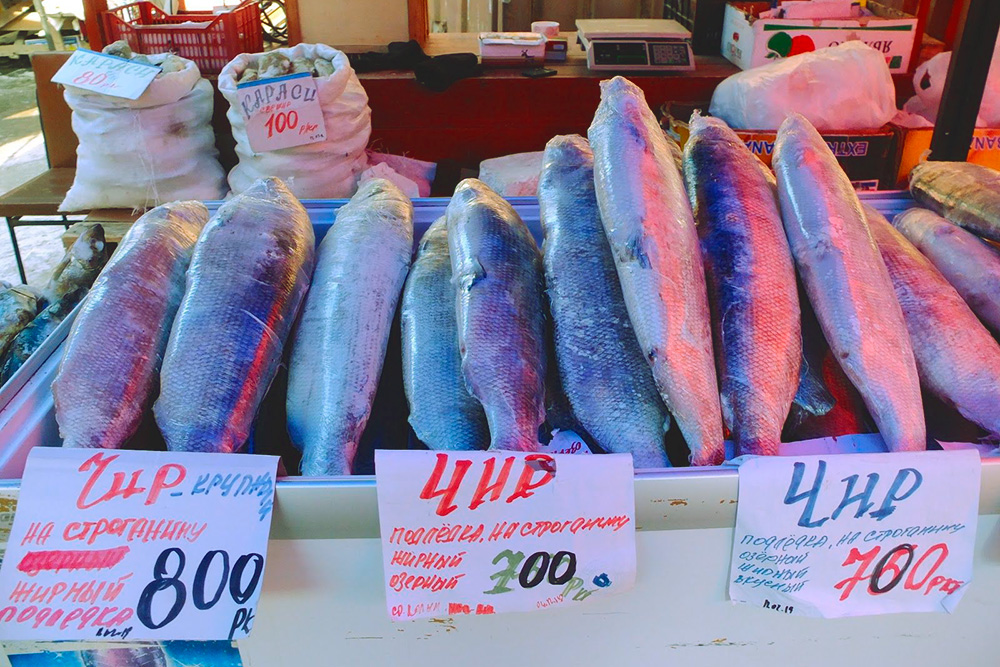 Омуль, муксун, нельма, чир, голец, хариус — это не заклинания якутского шамана, а названия северной рыбы. Рыбные деликатесы продаются на рынках: «Крестьянском» в Якутске и «Урожае» в Магадане