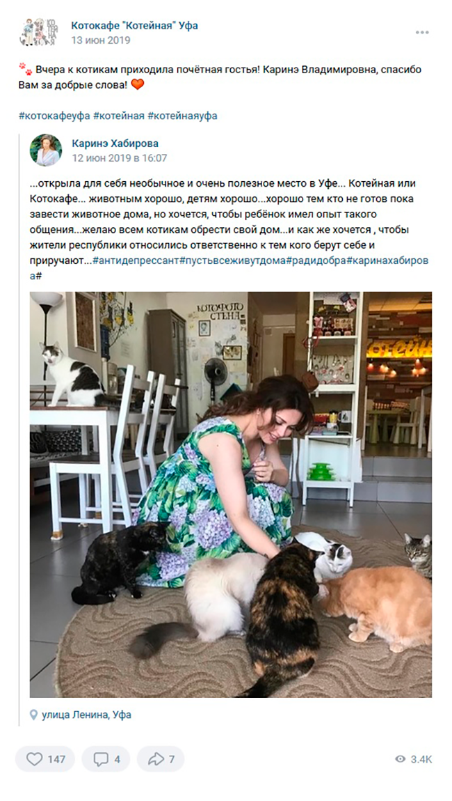 Жена главы Башкортостана Каринэ Хабирова поиграла с котами в кафе, сделала фото и выложила в свой аккаунт. Источник: сообщество во Вконтакте Котокафе «Котейная» Уфа