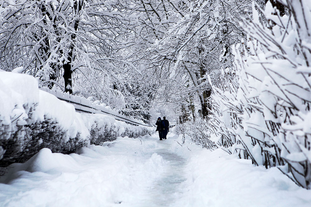 Практически каждую зиму в Краснодаре выпадает снег, но не всегда так обильно, как в 2022 году