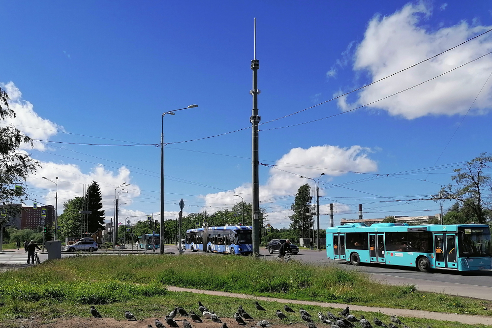 Это пересечение проспекта Ветеранов и проспекта Маршала Жукова — за ним начинается Красносельский район
