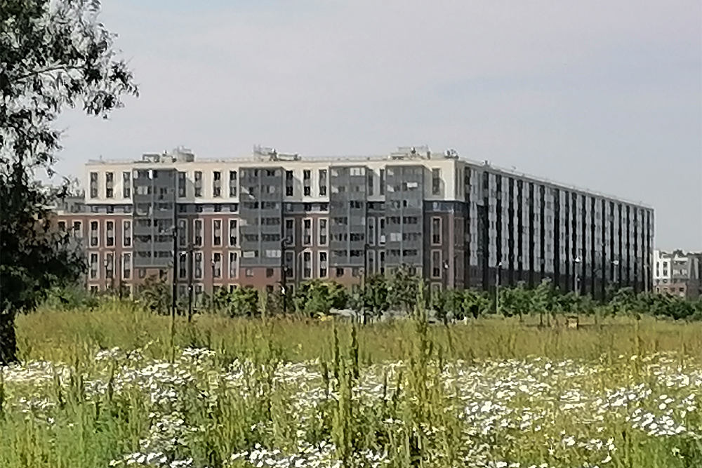 Вид на ЖК «Солнечный город» со стороны проспекта Ветеранов