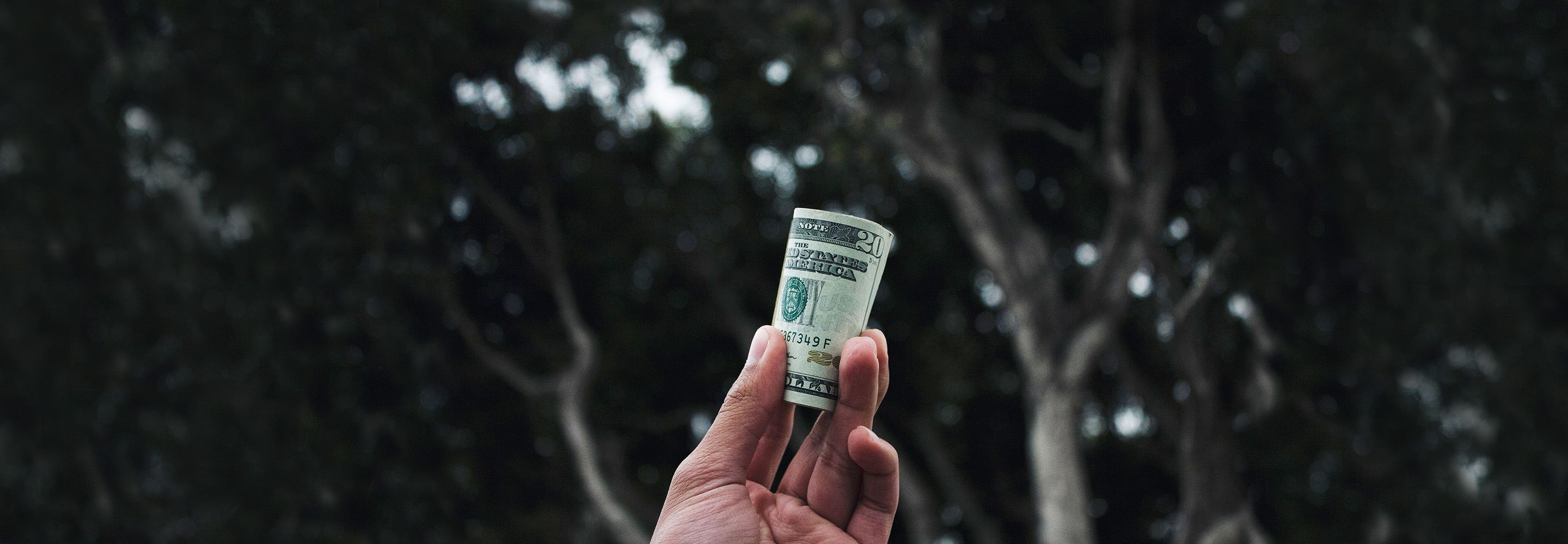25 лучших способов заработать деньги в интернете
