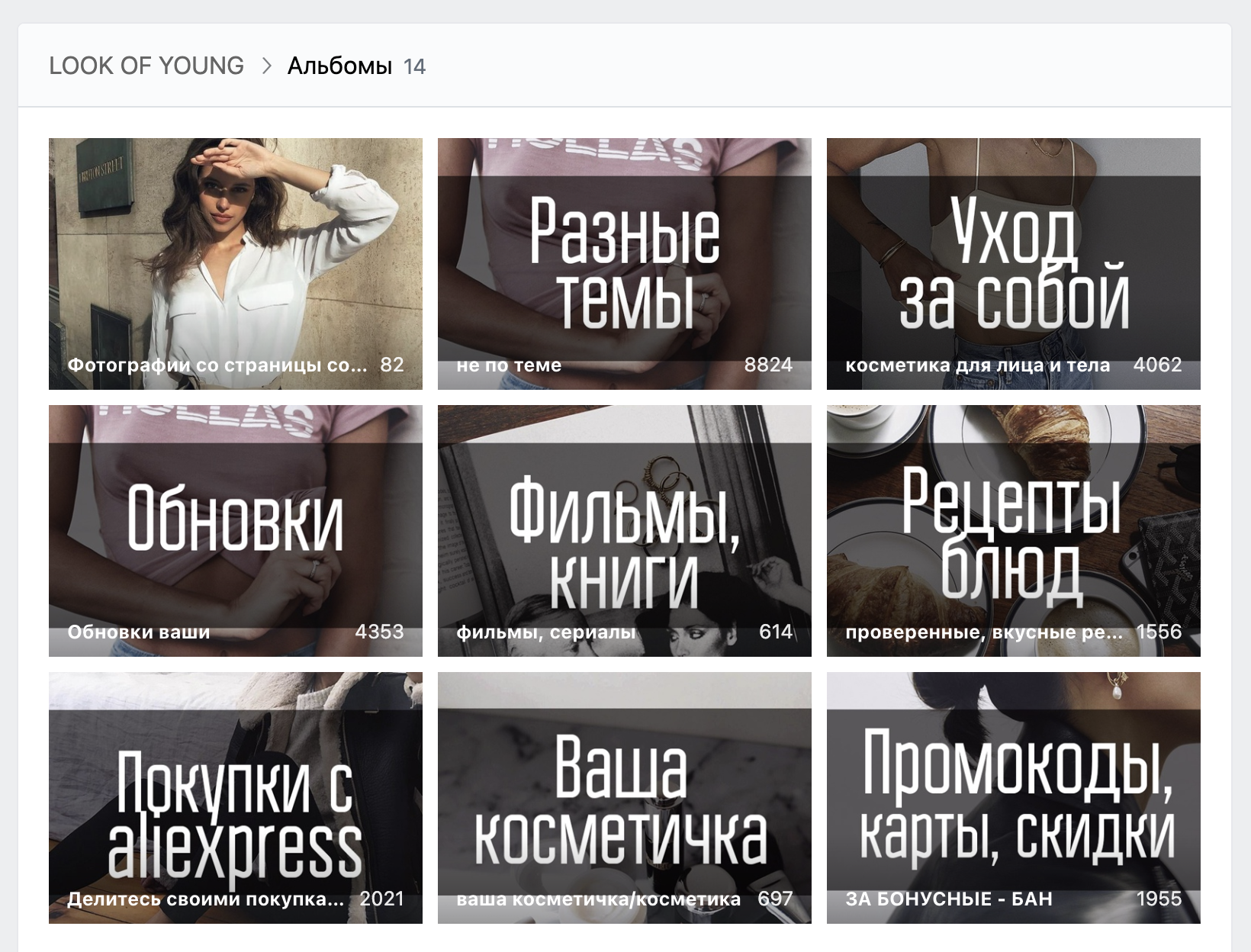 А в сообществе Look of Young во «Вконтакте» альбомы оформлены в едином стиле и систематизированы. Это повод считать его составным произведением