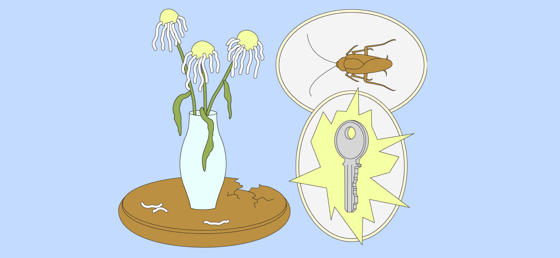 «Не знаешь, какие тараканы будут у хозяев»: 5 причин перестать снимать и купить свое жилье