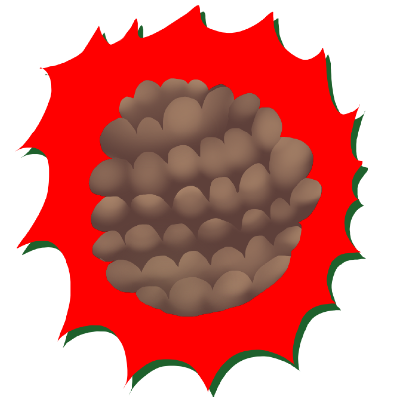 Лейбл заголовка