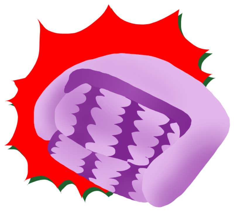 Лейбл заголовка