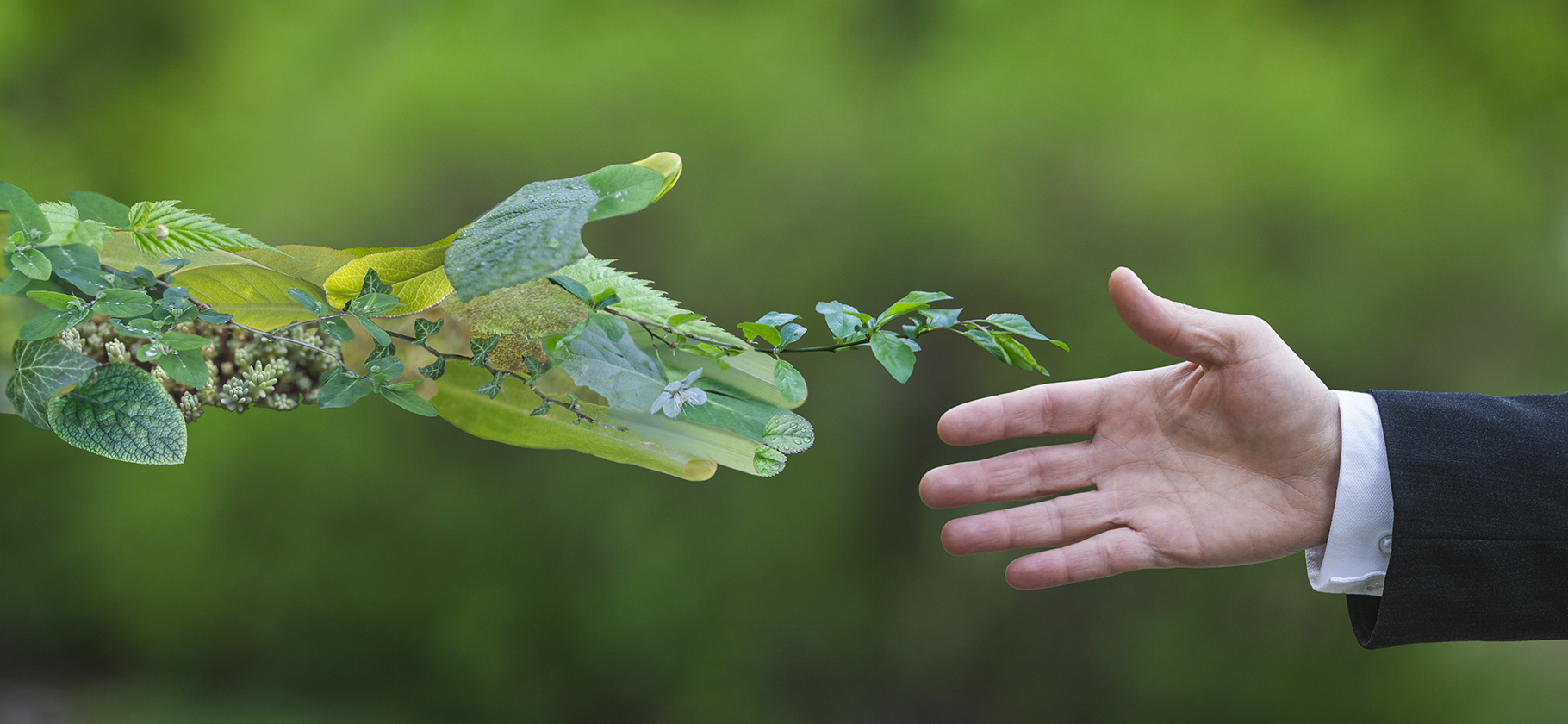 Россияне смогли получить около 350 000 кредитов и займов, несмотря на самозапрет