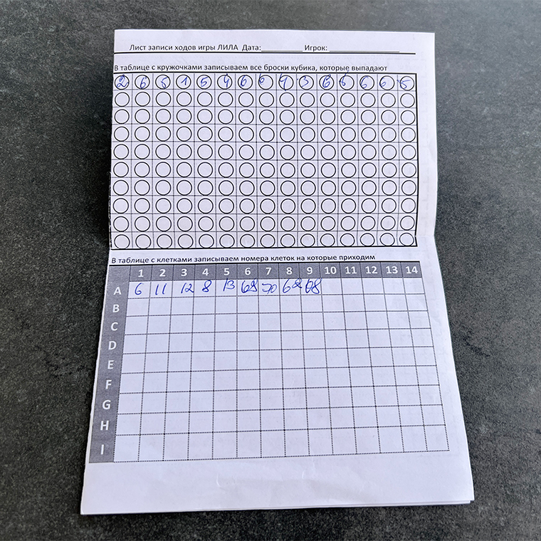 Каждому игроку дают такой лист бумаги, где можно записывать ходы, выпадающие цифры на кубике, свои впечатления от игры, приходящие в голову мысли