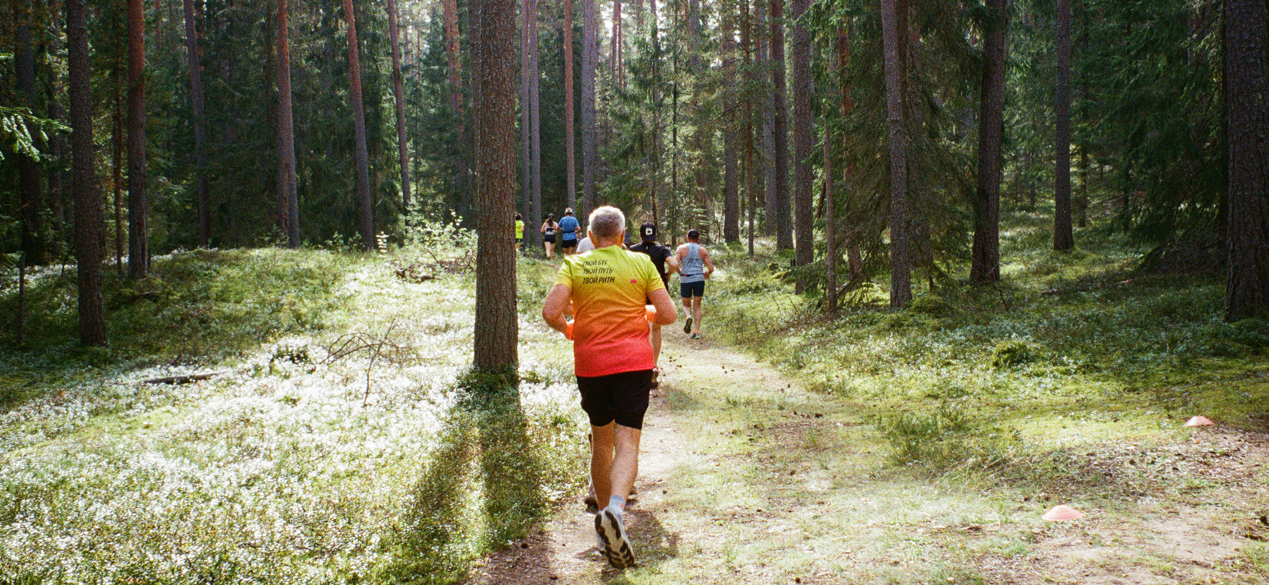 Как я съездил в Оку­ловку на Лесной полумарафон — один из самых приятных стартов за год