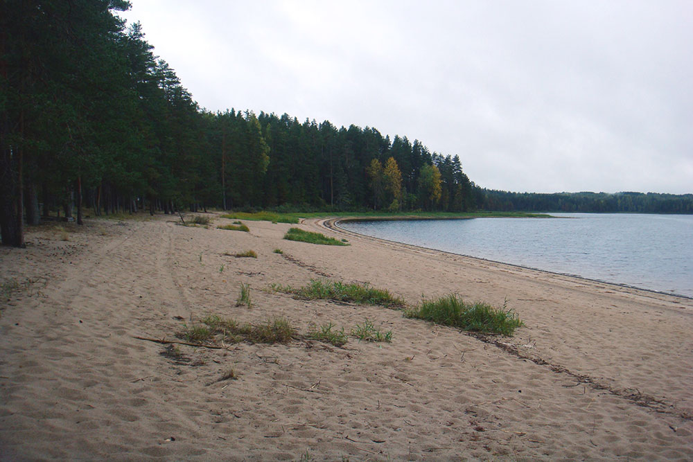 Озеро Городно с широкими песчаными берегами: летом тут здорово купаться, а осенью и весной — прогуливаться и наслаждаться видами
